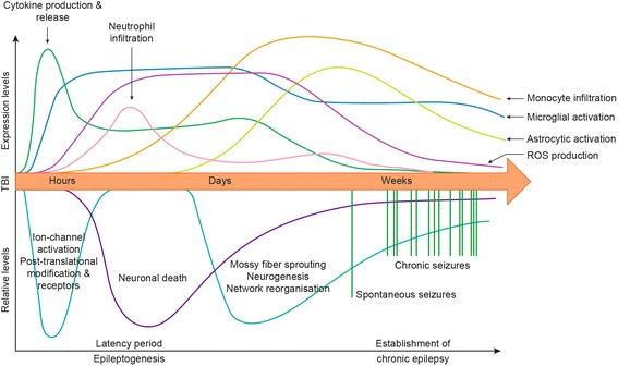 https://cdn.ncbi.nlm.nih.gov/pmc/blobs/dbe0/5237206/439fe9387a0f/12974_2016_786_Fig1_HTML.jpg