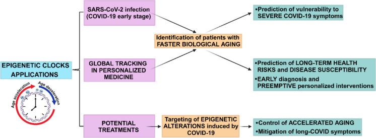 https://cdn.ncbi.nlm.nih.gov/pmc/blobs/dbe1/11872859/a4248722261d/11357_2024_1406_Fig3_HTML.jpg