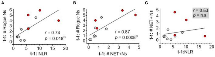 https://cdn.ncbi.nlm.nih.gov/pmc/blobs/dbe1/9358208/e7586616ded5/fneur-13-935579-g0006.jpg