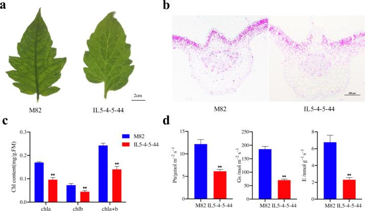 https://cdn.ncbi.nlm.nih.gov/pmc/blobs/dbe2/8558323/9a109465c6b6/41438_2021_659_Fig1_HTML.jpg