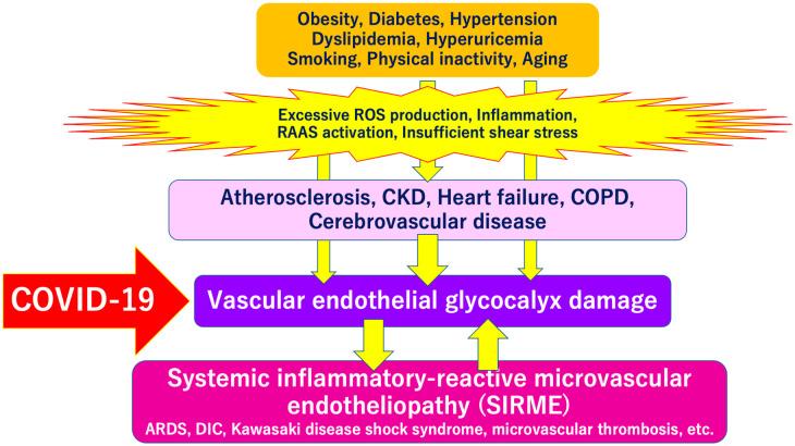 https://cdn.ncbi.nlm.nih.gov/pmc/blobs/dbe3/7766512/4befd38c4311/ijms-21-09712-g004.jpg