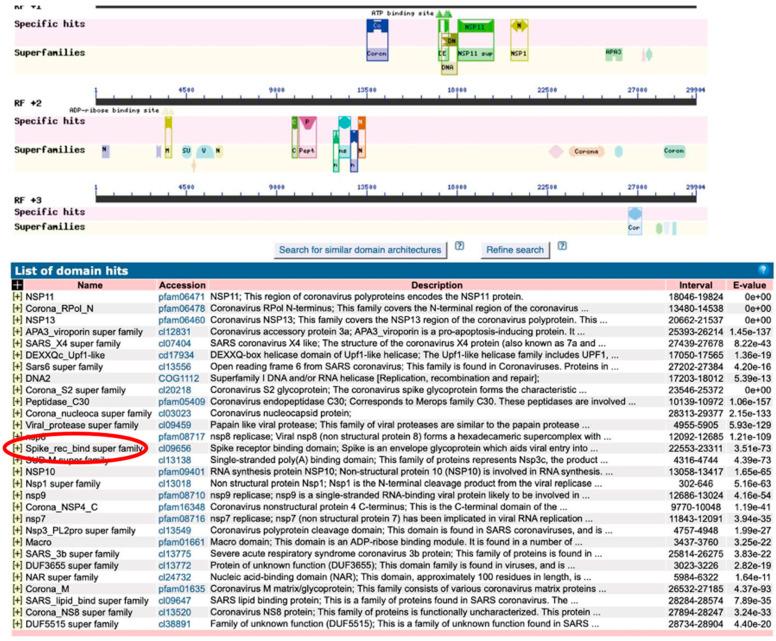 https://cdn.ncbi.nlm.nih.gov/pmc/blobs/dbe3/7766512/c7884e91d17d/ijms-21-09712-g002.jpg