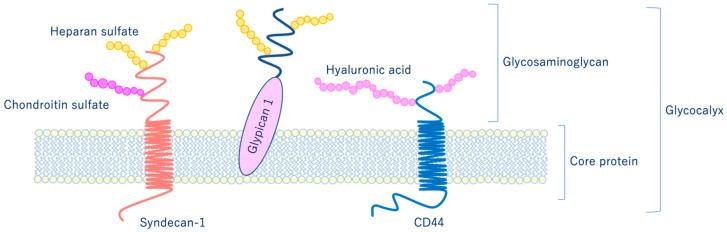 https://cdn.ncbi.nlm.nih.gov/pmc/blobs/dbe3/7766512/e5556f797c9d/ijms-21-09712-g006.jpg