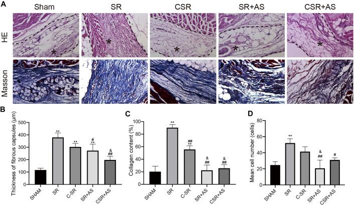 https://cdn.ncbi.nlm.nih.gov/pmc/blobs/dbe3/9133697/1a7273f5fb41/fbioe-10-810244-g009.jpg