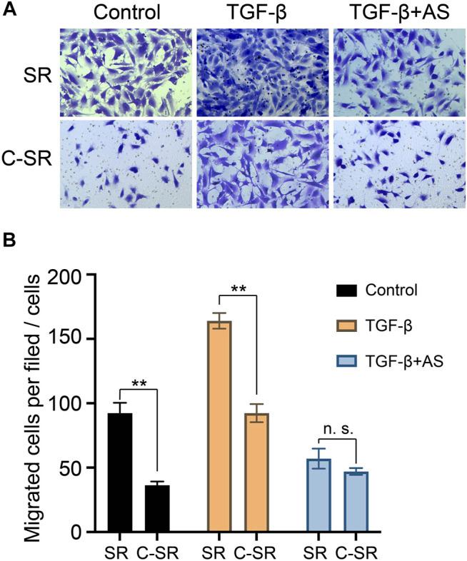 https://cdn.ncbi.nlm.nih.gov/pmc/blobs/dbe3/9133697/211745292307/fbioe-10-810244-g003.jpg