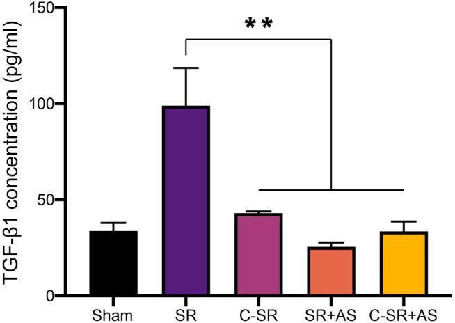 https://cdn.ncbi.nlm.nih.gov/pmc/blobs/dbe3/9133697/ea8afff3f230/fbioe-10-810244-g006.jpg