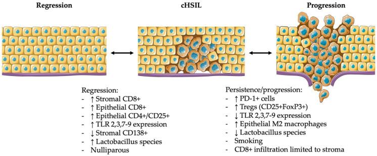 https://cdn.ncbi.nlm.nih.gov/pmc/blobs/dbe4/8910829/12831aa8e109/jcm-11-01432-g001.jpg