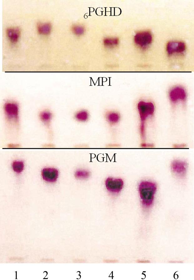 https://cdn.ncbi.nlm.nih.gov/pmc/blobs/dbe5/5432964/c6af6cb74a51/parasite-24-13-fig2.jpg