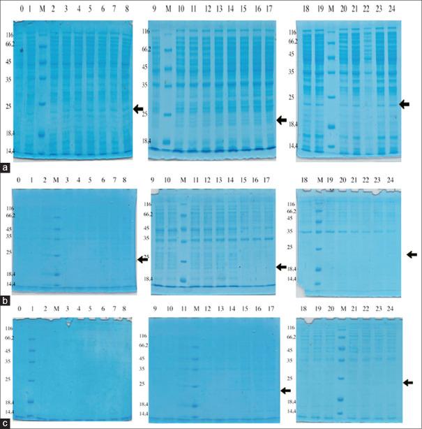 https://cdn.ncbi.nlm.nih.gov/pmc/blobs/dbe5/7305781/c2775c744329/JAPTR-11-69-g001.jpg