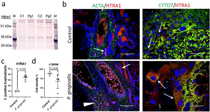 https://cdn.ncbi.nlm.nih.gov/pmc/blobs/dbe5/7471333/5b33b76a9c11/41598_2020_71762_Fig6_HTML.jpg