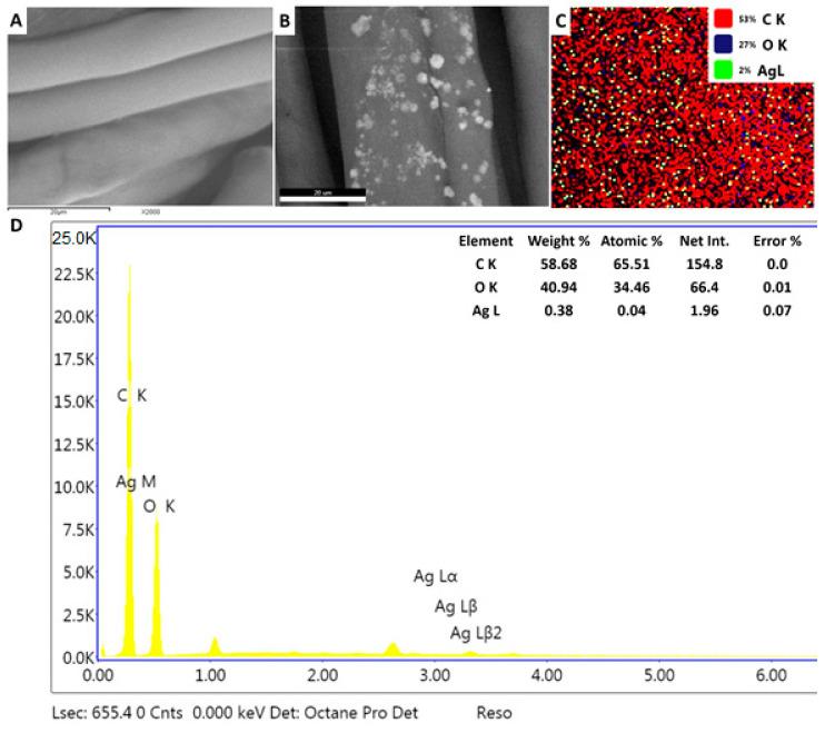 https://cdn.ncbi.nlm.nih.gov/pmc/blobs/dbe7/7589671/b2bd3a36c158/nanomaterials-10-02082-g007.jpg