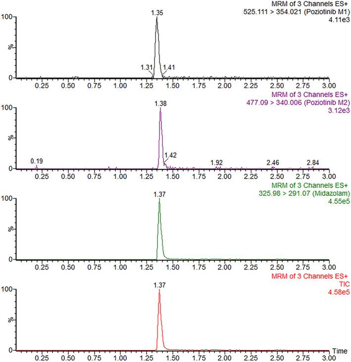 https://cdn.ncbi.nlm.nih.gov/pmc/blobs/dbe8/10175034/9a3215dd2415/TCA-14-1276-g006.jpg
