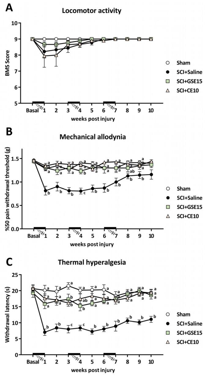 https://cdn.ncbi.nlm.nih.gov/pmc/blobs/dbe8/11989601/7230bea98e2b/ijms-26-03325-g001.jpg