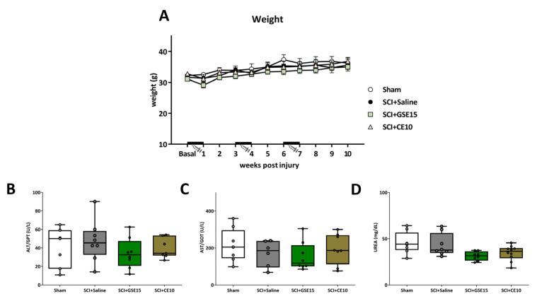 https://cdn.ncbi.nlm.nih.gov/pmc/blobs/dbe8/11989601/fa28681db0ec/ijms-26-03325-g011.jpg