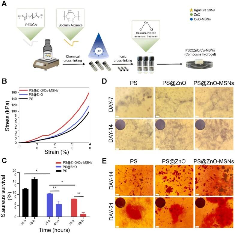https://cdn.ncbi.nlm.nih.gov/pmc/blobs/dbe9/12317318/25a5385130dc/rbaf068f11.jpg
