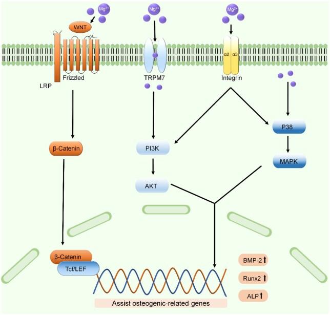 https://cdn.ncbi.nlm.nih.gov/pmc/blobs/dbe9/12317318/68961e2b5a6b/rbaf068f2.jpg