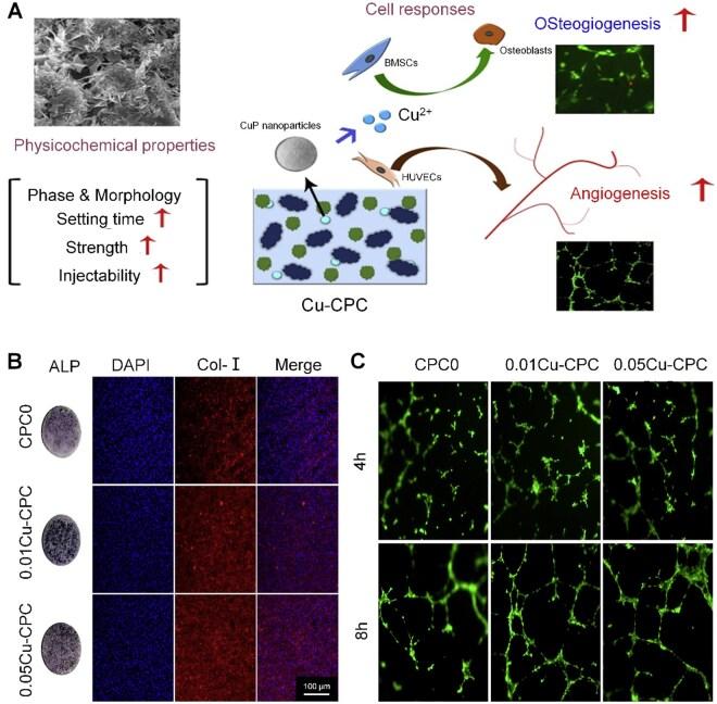 https://cdn.ncbi.nlm.nih.gov/pmc/blobs/dbe9/12317318/9deb0f013699/rbaf068f9.jpg