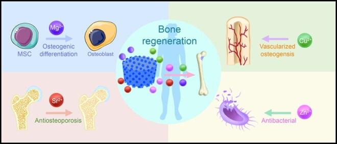 https://cdn.ncbi.nlm.nih.gov/pmc/blobs/dbe9/12317318/da19f5016ed7/rbaf068f12.jpg