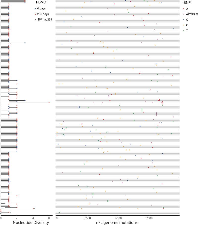 https://cdn.ncbi.nlm.nih.gov/pmc/blobs/dbea/11178840/047fefc80080/41467_2024_49369_Fig3_HTML.jpg