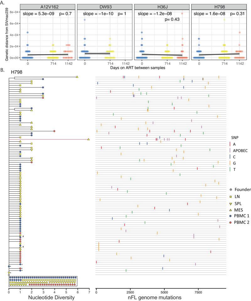 https://cdn.ncbi.nlm.nih.gov/pmc/blobs/dbea/11178840/aa7cf6fe0a1f/41467_2024_49369_Fig4_HTML.jpg