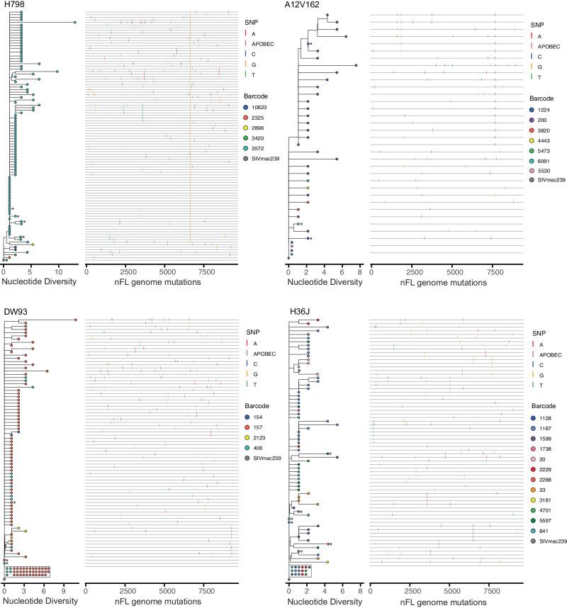 https://cdn.ncbi.nlm.nih.gov/pmc/blobs/dbea/11178840/ea454bf0b2b7/41467_2024_49369_Fig6_HTML.jpg