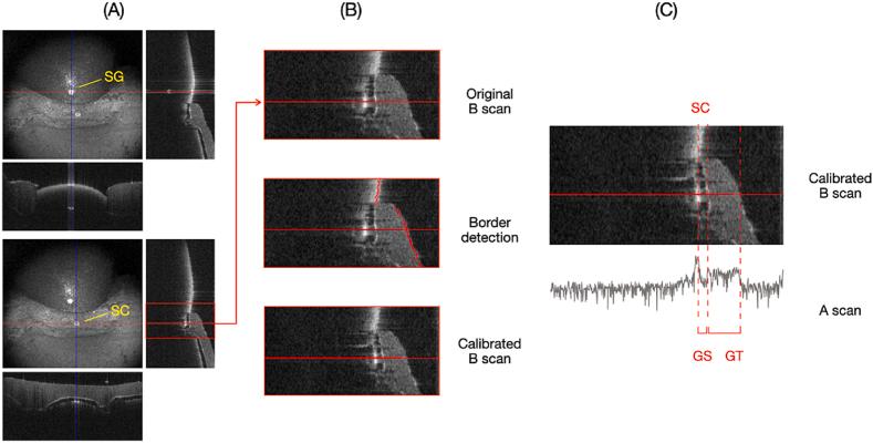 https://cdn.ncbi.nlm.nih.gov/pmc/blobs/dbea/11762946/3b606403d844/gr4.jpg
