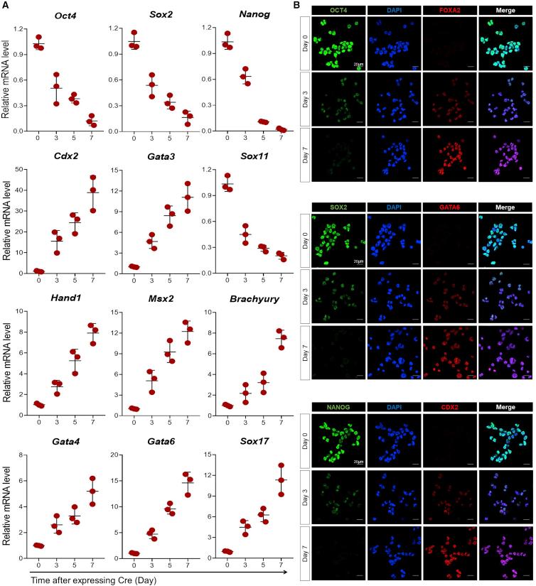 https://cdn.ncbi.nlm.nih.gov/pmc/blobs/dbed/7940252/06a8a9ff16d0/gr4.jpg