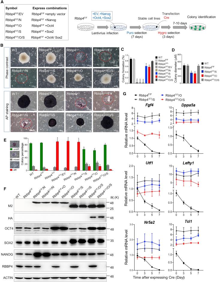 https://cdn.ncbi.nlm.nih.gov/pmc/blobs/dbed/7940252/3090634b572d/gr5.jpg