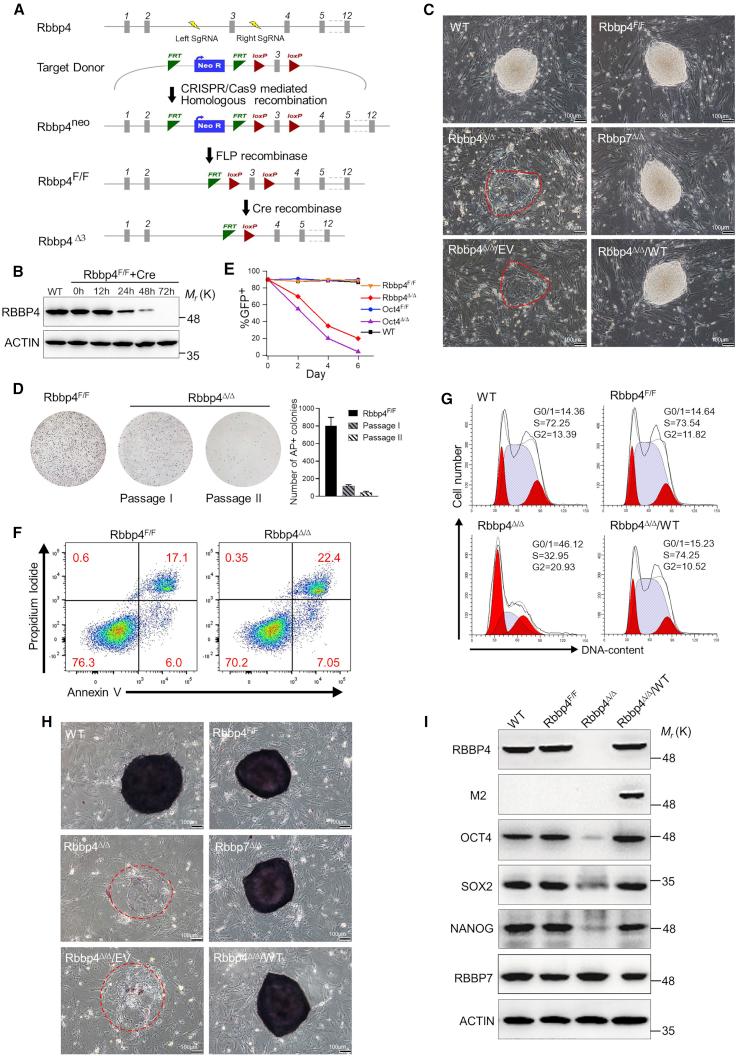 https://cdn.ncbi.nlm.nih.gov/pmc/blobs/dbed/7940252/a4213515955c/gr1.jpg