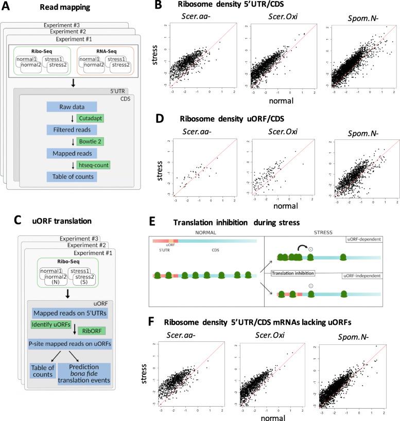 https://cdn.ncbi.nlm.nih.gov/pmc/blobs/dbed/8126119/8b8b6181315b/12860_2021_363_Fig1_HTML.jpg