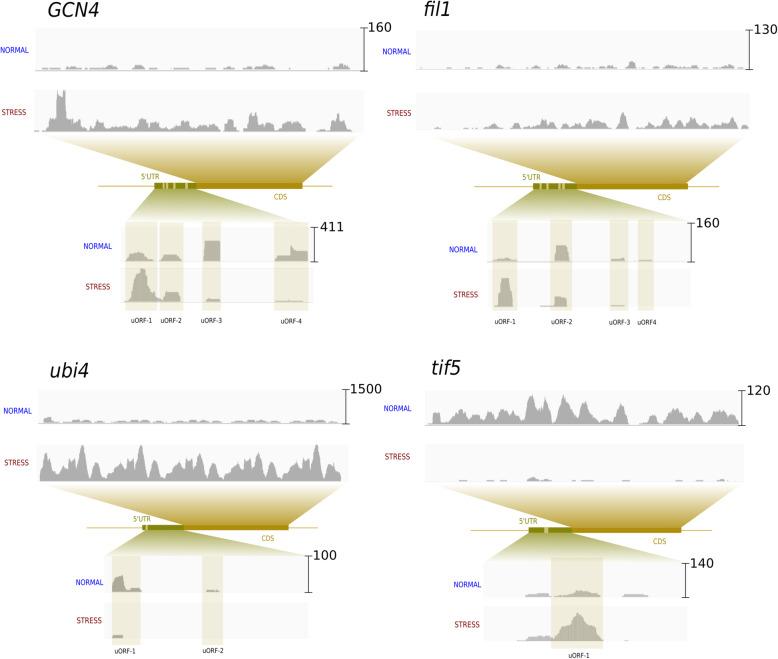 https://cdn.ncbi.nlm.nih.gov/pmc/blobs/dbed/8126119/984059c1c44a/12860_2021_363_Fig4_HTML.jpg