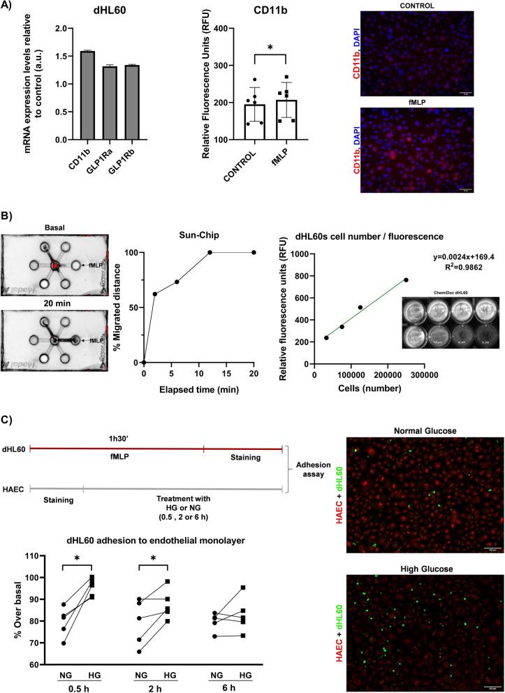https://cdn.ncbi.nlm.nih.gov/pmc/blobs/dbef/10765851/0a5b106f3770/12933_2023_2096_Fig3_HTML.jpg