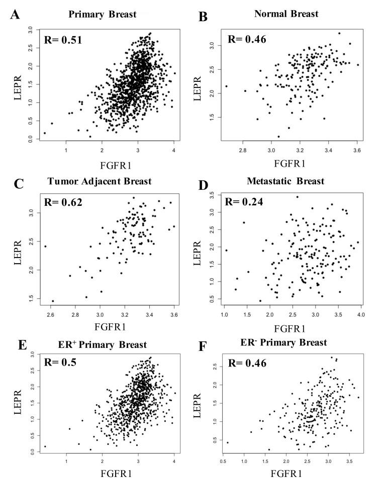 https://cdn.ncbi.nlm.nih.gov/pmc/blobs/dbef/7600295/65723f6ece2f/cells-09-02224-g001.jpg