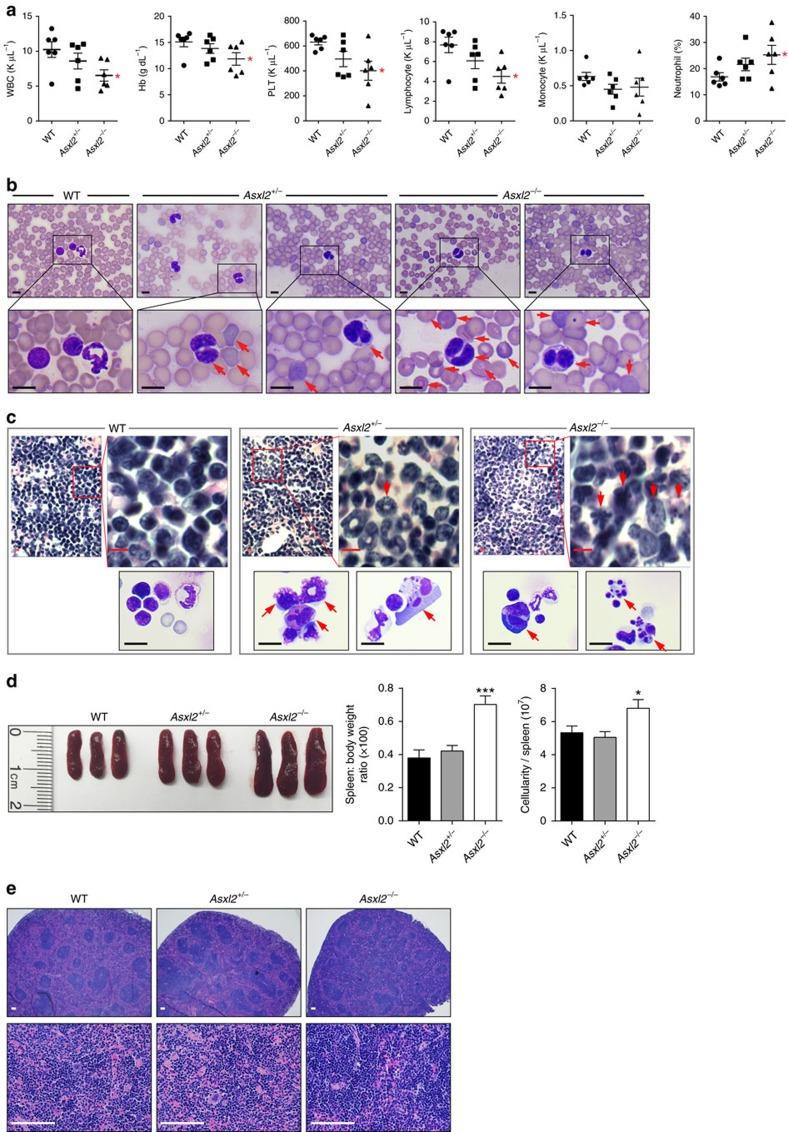 https://cdn.ncbi.nlm.nih.gov/pmc/blobs/dbf1/5472177/578027661a4b/ncomms15456-f1.jpg