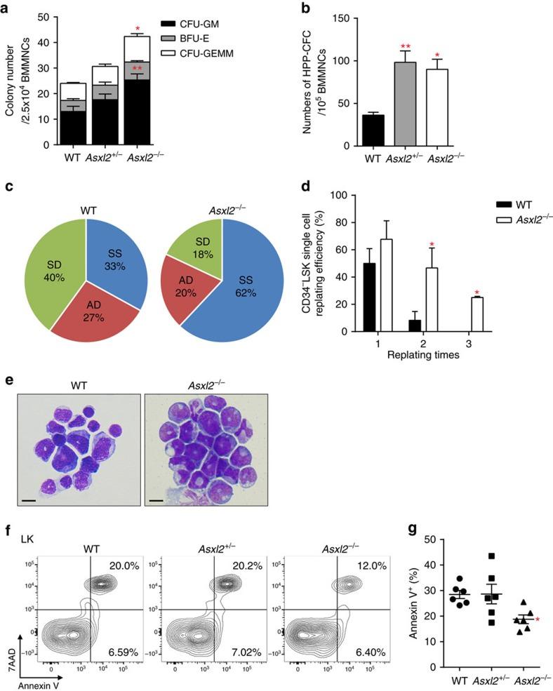 https://cdn.ncbi.nlm.nih.gov/pmc/blobs/dbf1/5472177/8bf114796f15/ncomms15456-f3.jpg
