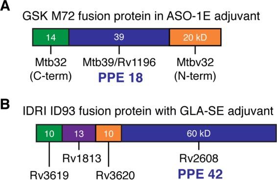 https://cdn.ncbi.nlm.nih.gov/pmc/blobs/dbf2/5442627/e47016775c57/zii9990920470002.jpg