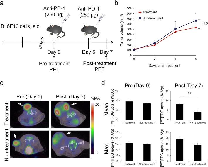https://cdn.ncbi.nlm.nih.gov/pmc/blobs/dbf2/6095935/b43a89908b09/13550_2018_433_Fig1_HTML.jpg