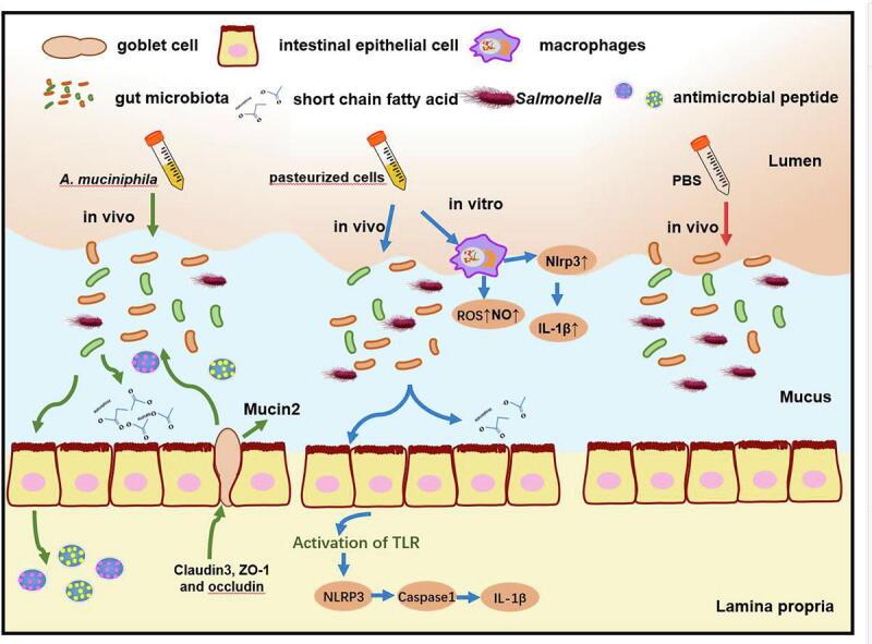 https://cdn.ncbi.nlm.nih.gov/pmc/blobs/dbf4/10555781/6731e9c6a135/ga1.jpg