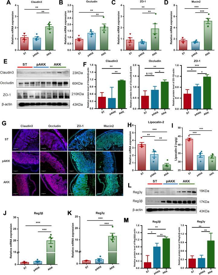 https://cdn.ncbi.nlm.nih.gov/pmc/blobs/dbf4/10555781/8086984a7d87/gr4.jpg