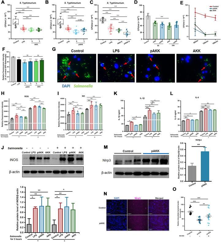 https://cdn.ncbi.nlm.nih.gov/pmc/blobs/dbf4/10555781/e74226d76b97/gr6.jpg