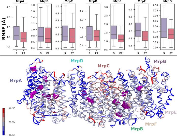 https://cdn.ncbi.nlm.nih.gov/pmc/blobs/dbf5/11389979/5cc95f05bed4/jp3c07421_0003.jpg