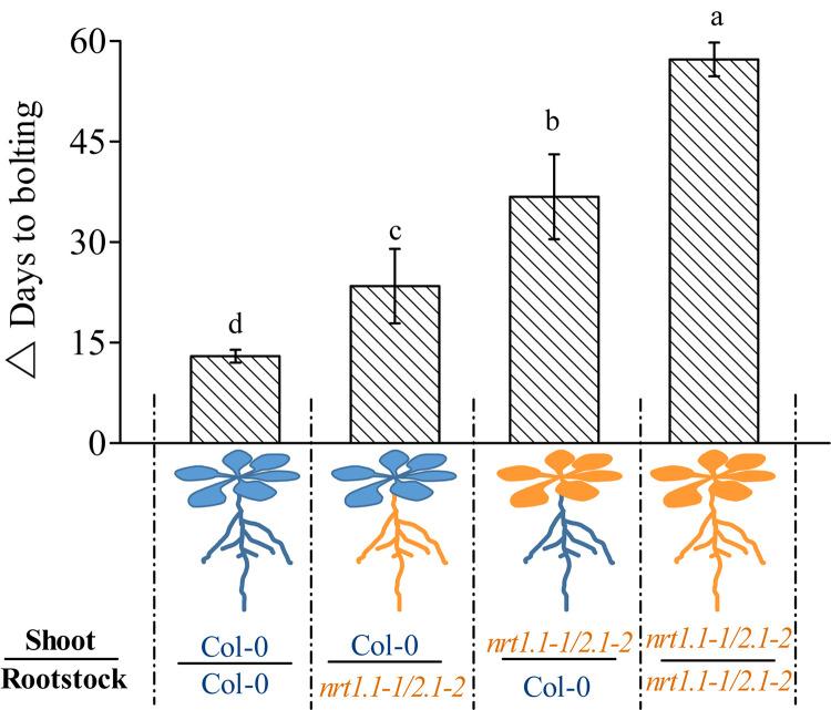 https://cdn.ncbi.nlm.nih.gov/pmc/blobs/dbf6/7907640/4fabdc8c1ffc/fpls-12-629857-g006.jpg