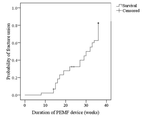 https://cdn.ncbi.nlm.nih.gov/pmc/blobs/dbf7/3441225/26806e4097df/1749-799X-7-24-4.jpg