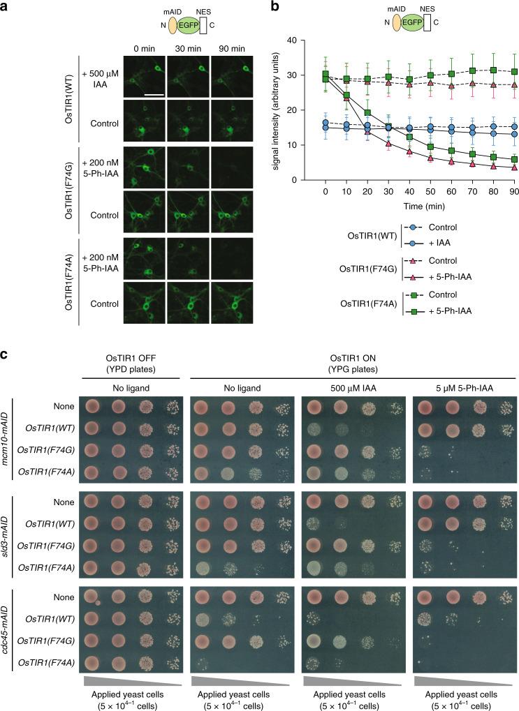 https://cdn.ncbi.nlm.nih.gov/pmc/blobs/dbf8/7659001/606355a60bd4/41467_2020_19532_Fig2_HTML.jpg