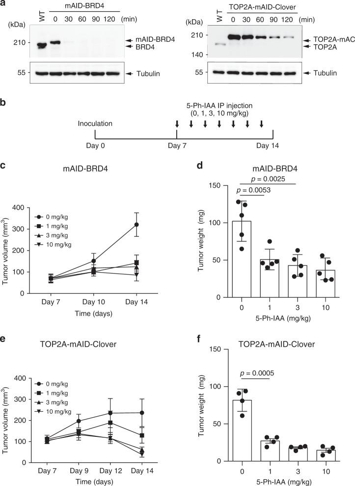 https://cdn.ncbi.nlm.nih.gov/pmc/blobs/dbf8/7659001/73de6045d6c4/41467_2020_19532_Fig5_HTML.jpg
