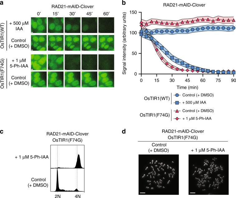 https://cdn.ncbi.nlm.nih.gov/pmc/blobs/dbf8/7659001/7466accb39e9/41467_2020_19532_Fig3_HTML.jpg