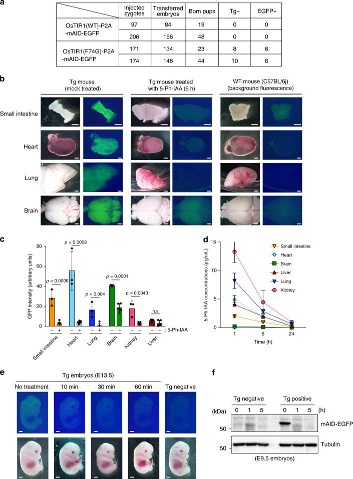 https://cdn.ncbi.nlm.nih.gov/pmc/blobs/dbf8/7659001/752e83422050/41467_2020_19532_Fig6_HTML.jpg