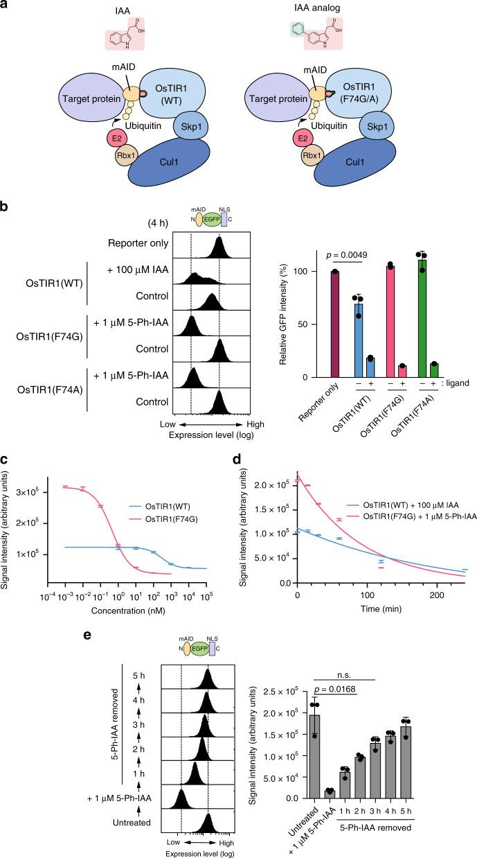https://cdn.ncbi.nlm.nih.gov/pmc/blobs/dbf8/7659001/ac9d9dcd5e7c/41467_2020_19532_Fig1_HTML.jpg