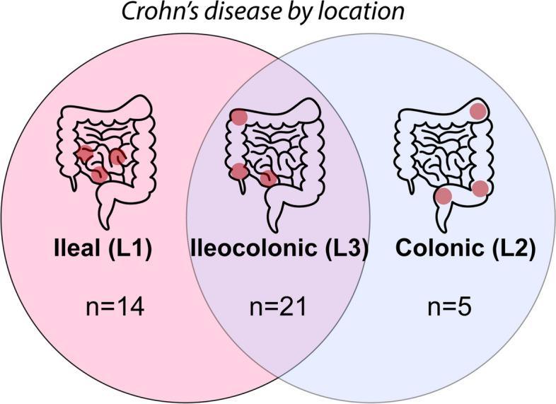 https://cdn.ncbi.nlm.nih.gov/pmc/blobs/dbf9/11515613/04a60667b6a2/40168_2024_1927_Fig1_HTML.jpg