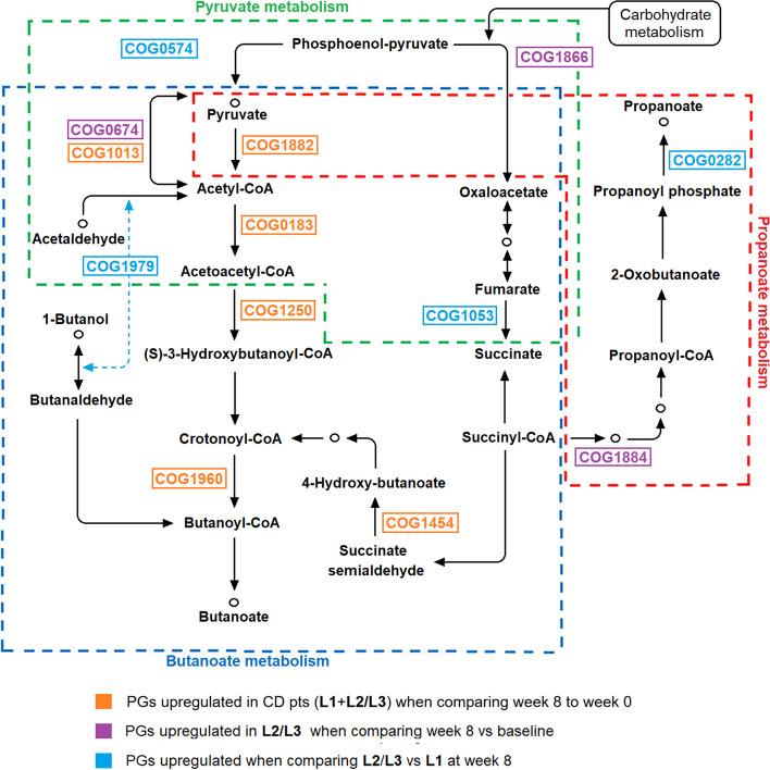 https://cdn.ncbi.nlm.nih.gov/pmc/blobs/dbf9/11515613/1e73ece6d2cc/40168_2024_1927_Fig7_HTML.jpg